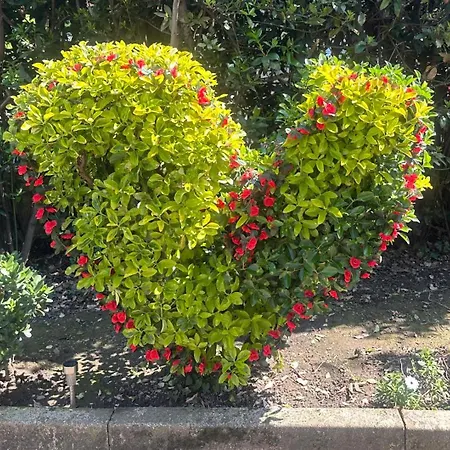 La Casetta Dei Sogni Casa Con Giardino E Parcheggio Privato Vicino Alle Cinque Terre Ferienhaus La Spezia