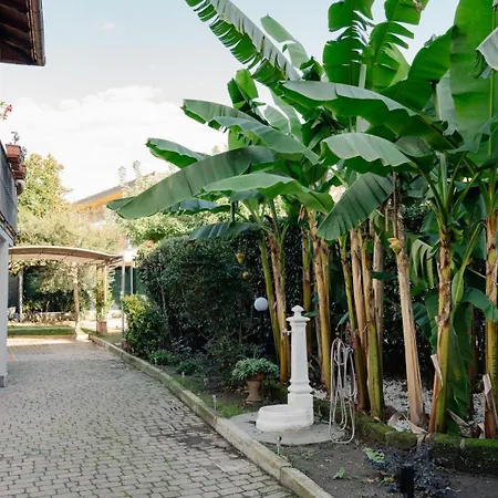 La Casetta Dei Sogni Casa Con Giardino E Parcheggio Privato Vicino Alle Cinque Terre La Spezia